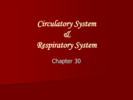 Chapter 30 Respiratory and Circulatory system