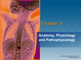 Chapter 5: The Human Body