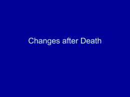 changes-after-death