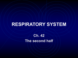 Respiratory System And Excretion System