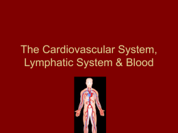 Body Systems Circulatory