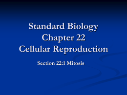 Ch 22 Cellular Reporduction
