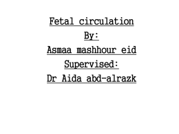 Fetal circulation By
