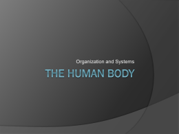 The Human Body - Teacher Bulletin