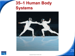 35–1 Human Body Systems - Ludlow Independent Schools