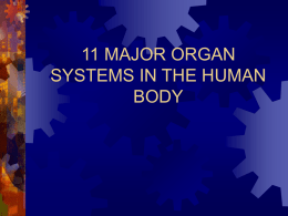 11 Body Systems