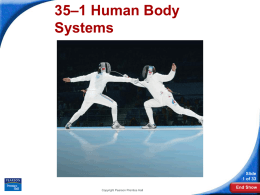 35–1 Human Body Systems