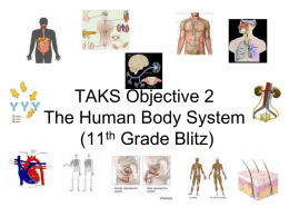 TAKS Objective 2 (Blitz) The Human Body System