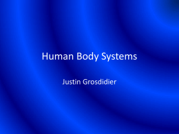 Human Body Systems - local.brookings.k12.sd.us
