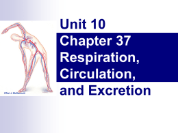 Unit 10 Chapter 37 Respiration, Circulation, and Excretion