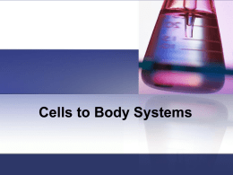 Cells to Body Systems
