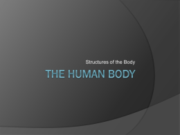 Structures of the Body