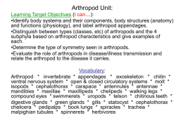 Biology\Arthropod Unit