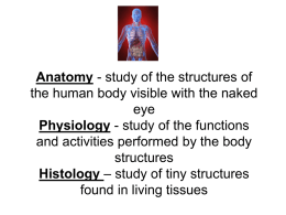 Anatomy - study of the structures of the human body visible with the