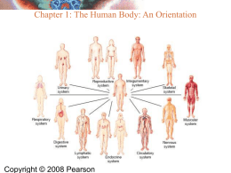 01 The Human Body: An Orientation