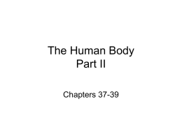 Human Body II Ch. 35-39