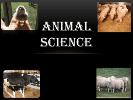 What is Animal Science
