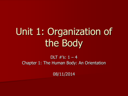 Unit 1: Organization of the Body