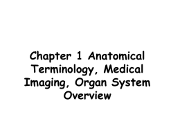 Chapter 1: The Human Body An Orientation