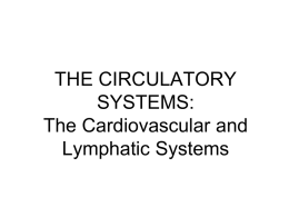 Cardiovascular System Lymphatic System