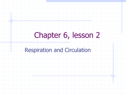 Chapter 6, lesson 2