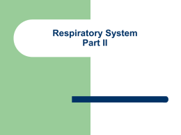 Respiratory System Part II