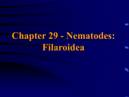 Chapter 29 - Nematodes: Filaroidea
