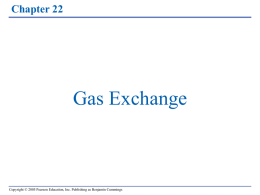 Chapt 22 Gas Exchange