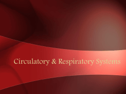 Circulatory & Respiratory Systems