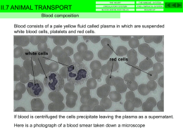 White blood cells