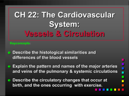 CH 22: The Cardiovascular System: Vessels & Circulation