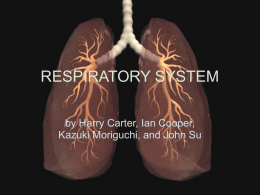Respiratory System Red