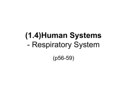 SNC2P (1.4) Human Systems