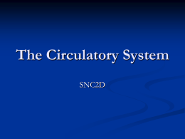 The-Circulatory-System