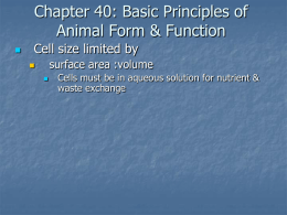 Chapter 40: Basic Principles of Animal Form & Function
