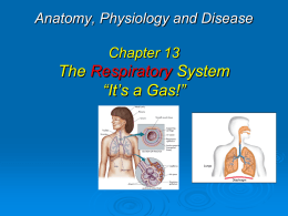 Health Sciences & Occupations Anatomy, Physiology and Disease