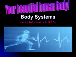 Body System latest version use this one [Autosaved]