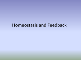 homeostasis and feedback with video clip