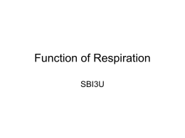 Function of Respiration