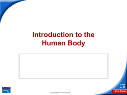 CP Bio PPT\Ch.36 - Skeleton, Muscles, Skin\Sec 3