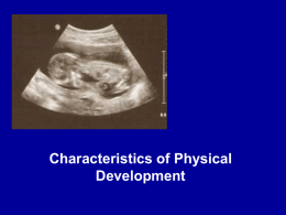 Fetal development 1.2