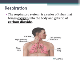 Respiration & Circulation1