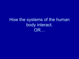 How the systems of the human body interact