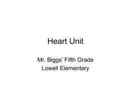 Heart Unit PowerPoint Demo