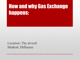 How and why Gas Exchange happens: