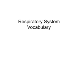 respiratory-system-notes a PowerPoint
