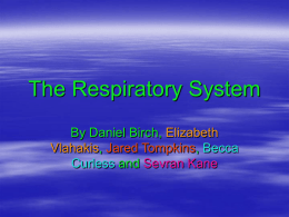 The Respitory System
