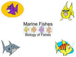 Biology_Fishes