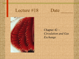 Lecture #18 Date - Biology Junction