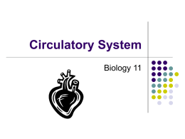 Circulatory System - Hrsbstaff.ednet.ns.ca